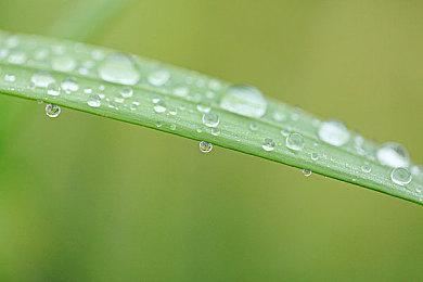 《零～红蝶～ 重制版》公布 2026年初发售登陆Switch 2